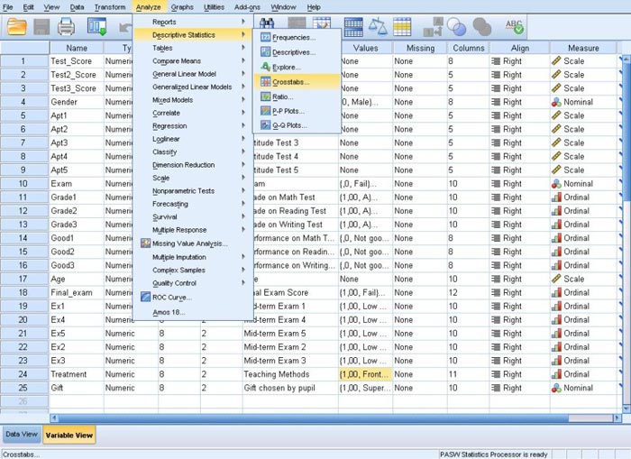 Baixe a versão completa do SPSS 19 gratuitamente