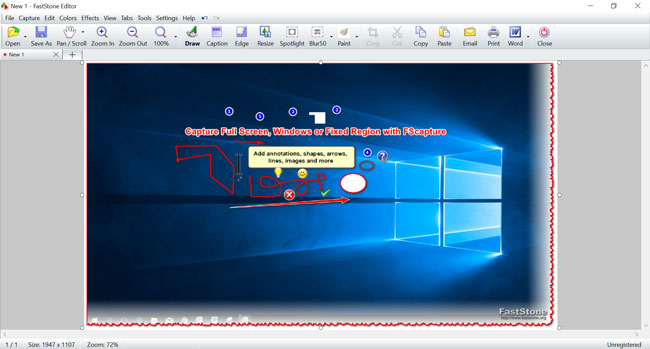 Baixe a interface de captura FastStone