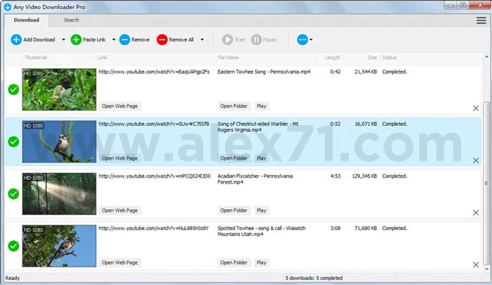 Baixe o crack completo mais recente do Any Video Downloader Pro