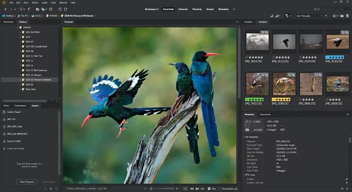 Download grátis Adobe Bridge CC 2021 Full Crack Windows 10