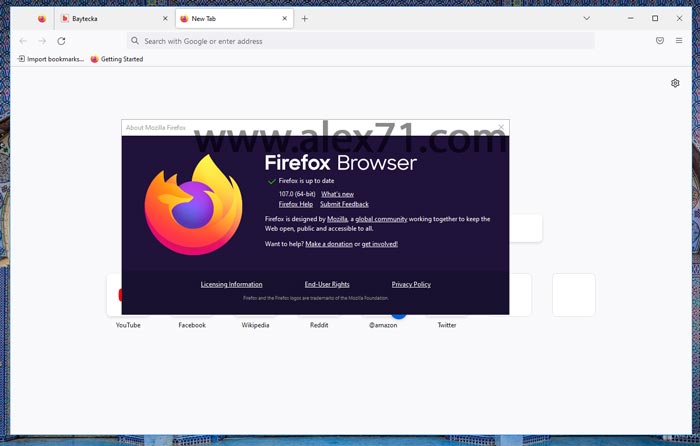 Baixe gratuitamente a versão completa do Mozilla Firefox